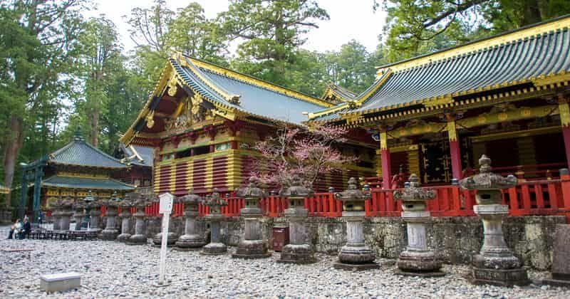 可以从关东出发一日游！日光温泉的人气活动和体验