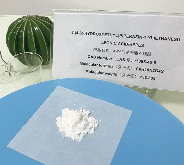 HEPES缓冲剂在细胞培养中的浓度选择