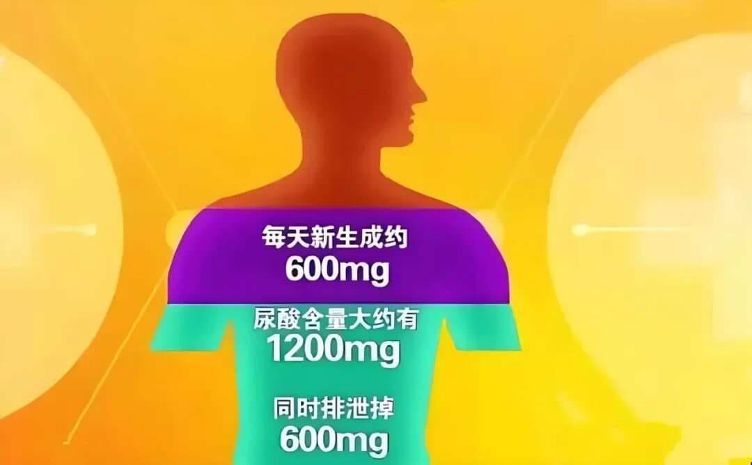 尿酸到多少需要降？这三大要点需牢记！