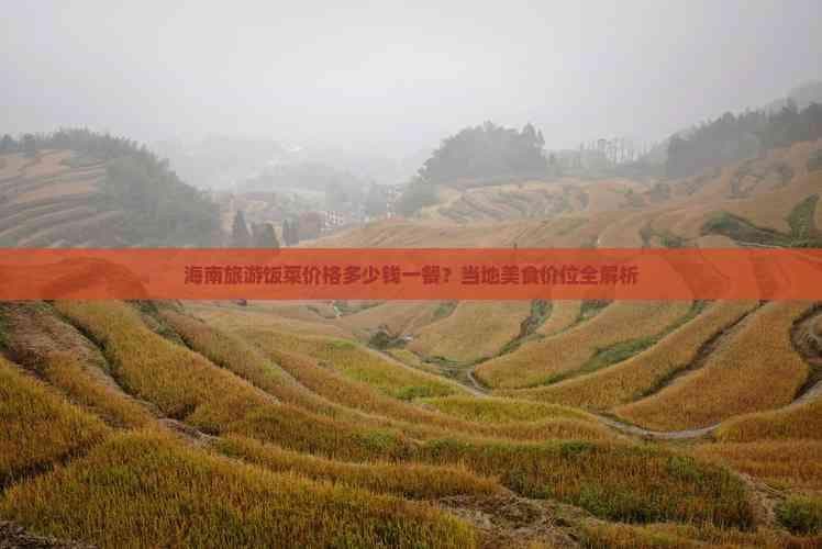 海南旅游饭菜价格多少钱一餐？当地美食价位全解析