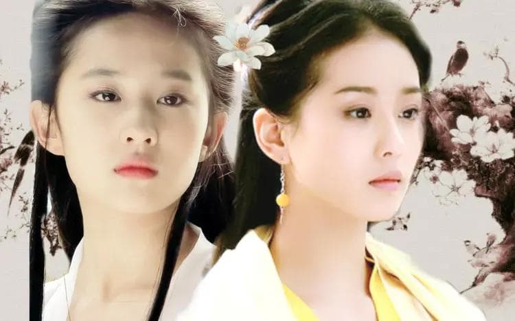 难怪黄衫女要帮张无忌，你看杨过死后，小龙女成了谁的妾室就懂了
