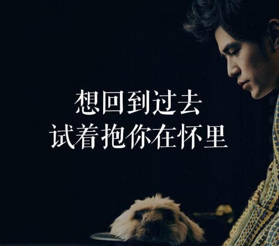 周杰伦写了哪些名言？周杰伦的经典歌词：那些脍炙人口的名句!