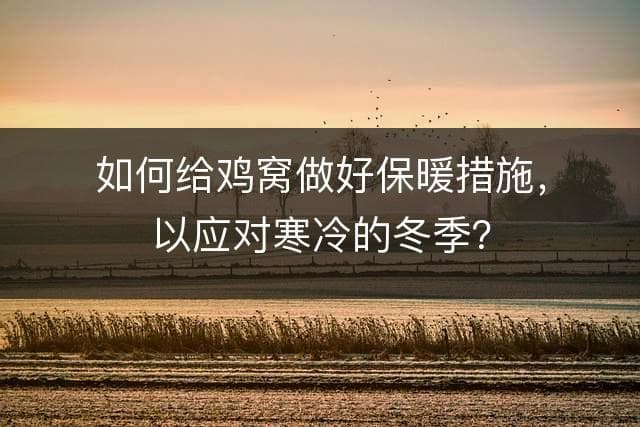 如何给鸡窝做好保暖措施，以应对寒冷的冬季？