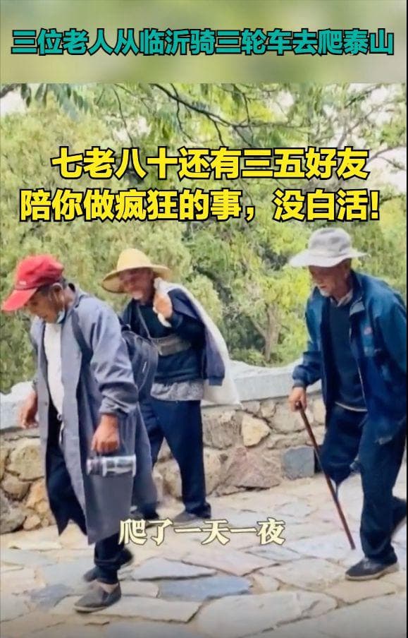 泰山之巅，见证暮年兄弟的深厚情谊与不屈精神！