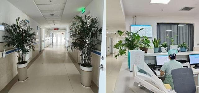 静谧呵护  五“心”护理——泌尿外科优质护理服务行动纪实