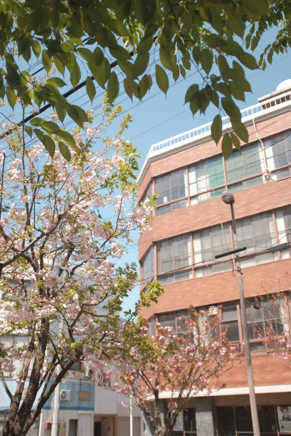 郑州中学：从高新区到示范校的教育改革之路
