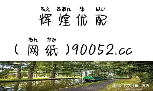 金价暴涨对中国股市各行业板块的潜在影响