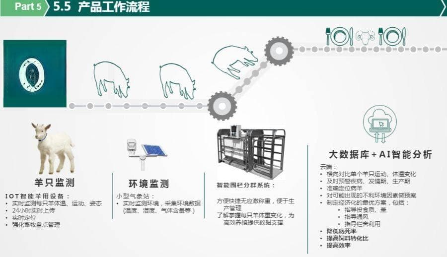 羊耳标：智能羊场精细化管理的关键工具