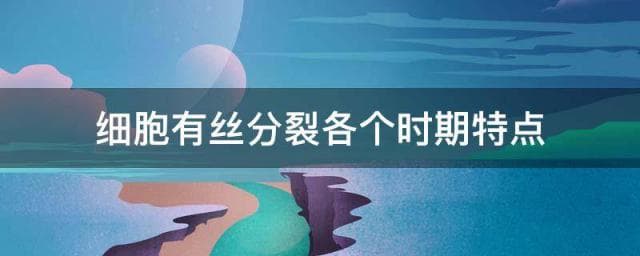 细胞有丝分裂各个时期特点