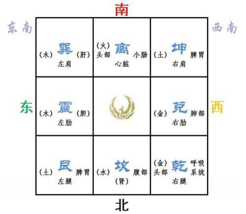 八卦与人体部位对应关系揭秘