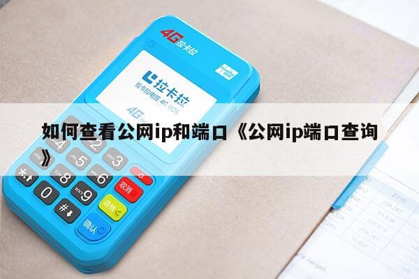 公网IP的应用场景与配置技巧：打造高效网络连接的必备指南