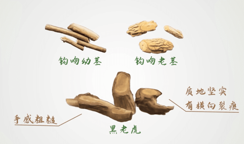 此物剧毒！爱煲汤的注意了！