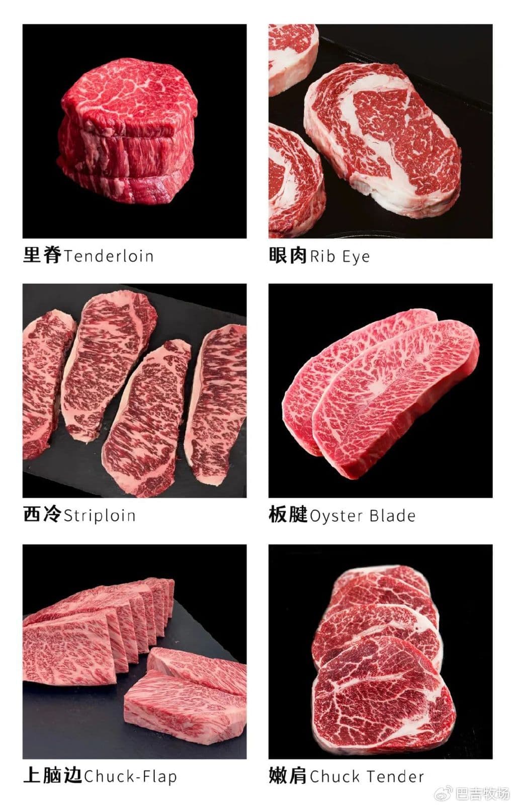 巴吉牧场：终极吃牛指南 | 牛肉部位与做法大全，煎烤涮炒...全都有！
