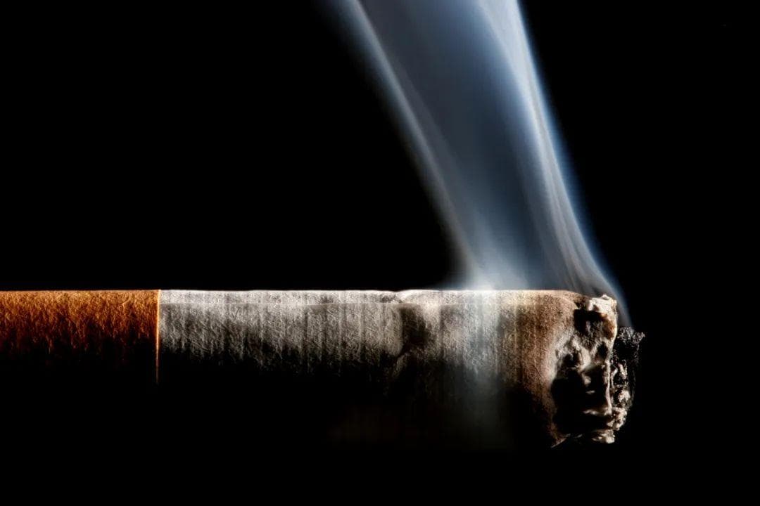 午餐后，这5件事千万别做
