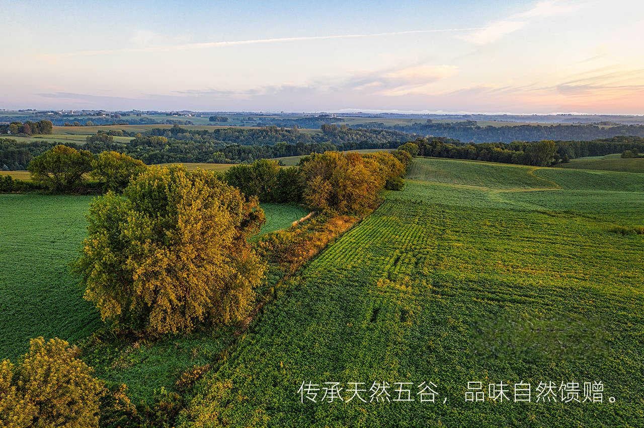 32个五谷杂粮粉食疗配方，助你调理身体