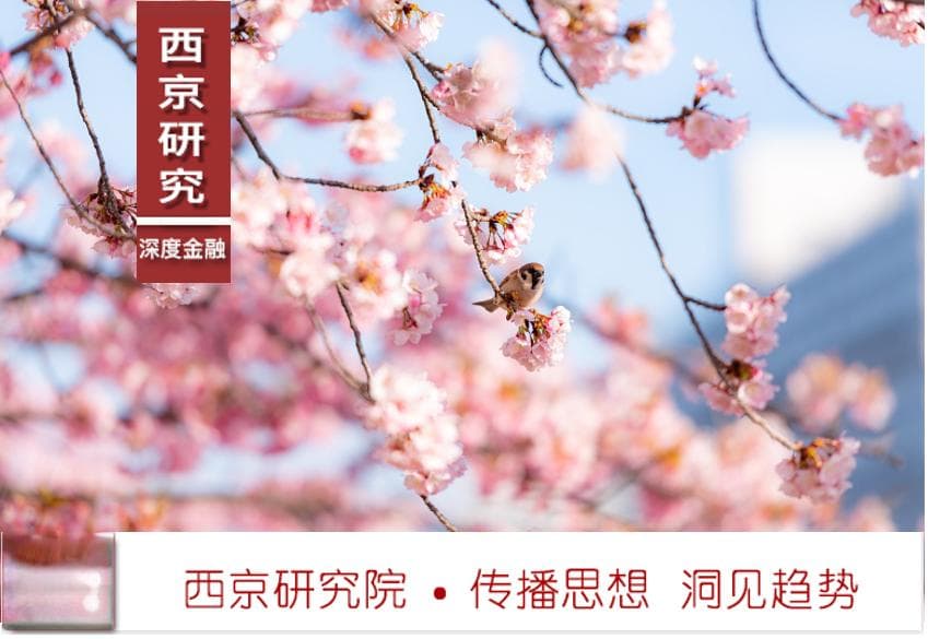 赵建，金超：假如我们面临日本“失去的三十年” 该如何度过危机？