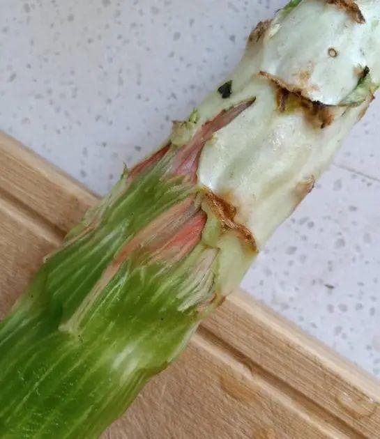 莴笋发红能吃吗？莴笋发红真相大公开，这样处理美味不减分