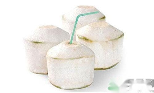 椰子和椰青的区别及椰汁的营养功效