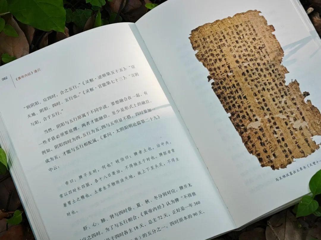 “五月半夏生”：《黄帝内经》十三方之半夏汤