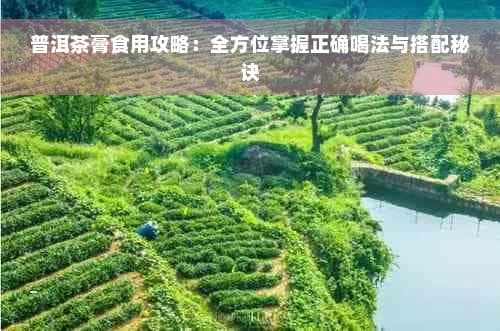 普洱茶膏食用攻略：全方位掌握正确喝法与搭配秘诀