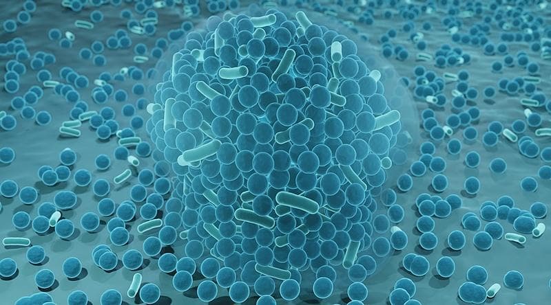 科技名词|生物膜 biological membrane；biomembrane