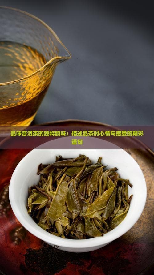 品味普洱茶的独特韵味：描述品茶时心情与感受的精彩语句