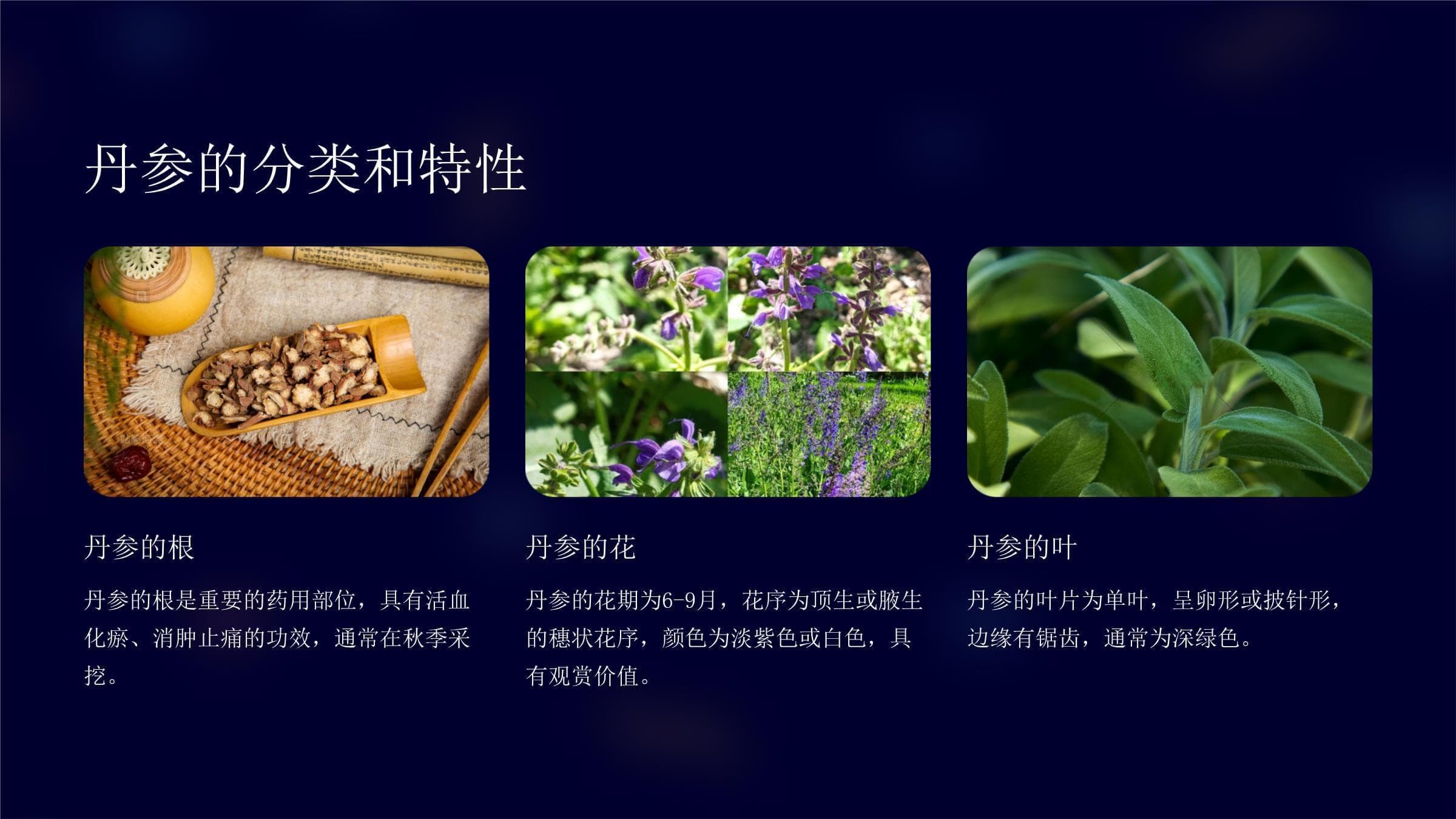 丹参高产栽培技术详解