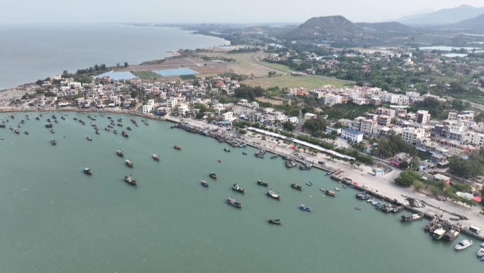 乐东：以党建引领强化文旅融合 绘就新时代海滨美丽渔村