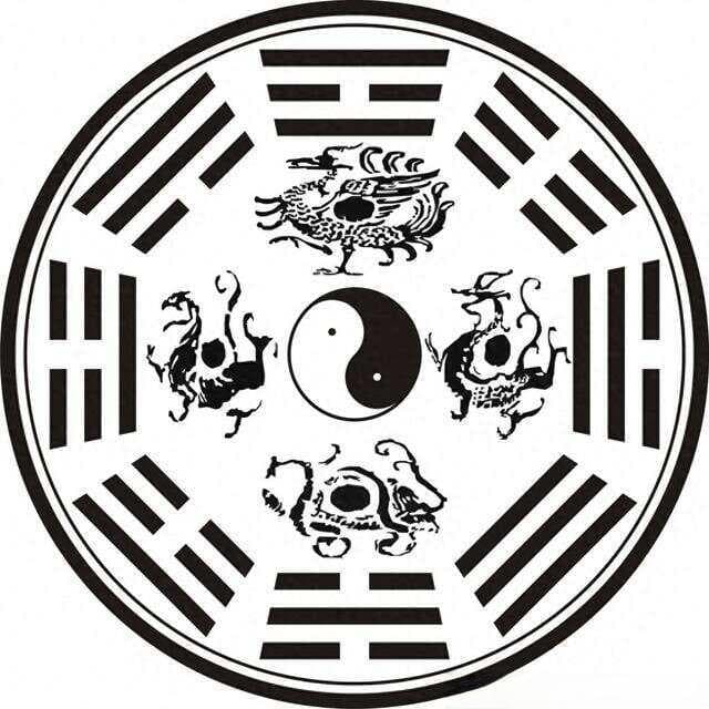 探寻神秘四象，领略古老智慧的魅力