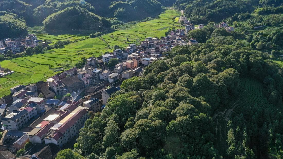 “飞阅”中国｜福建政和：乡村“好风景”成“好钱景”