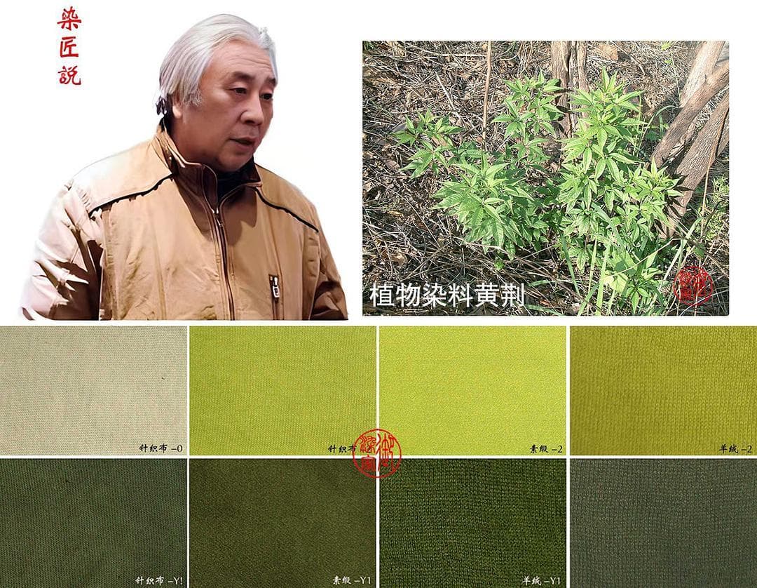 古色古香的植物染韵 | 黄荆，大自然赐予的染色宝藏