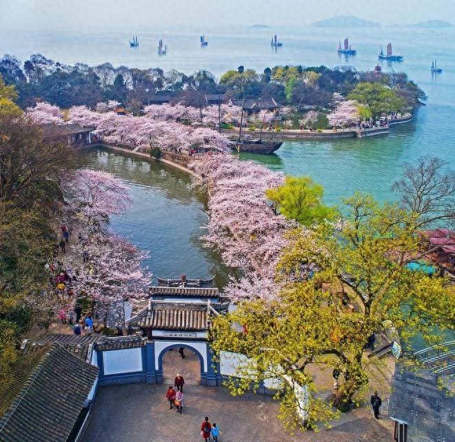 3-5月邂逅无锡，鼋头渚樱花与江南古韵共赴春日之约