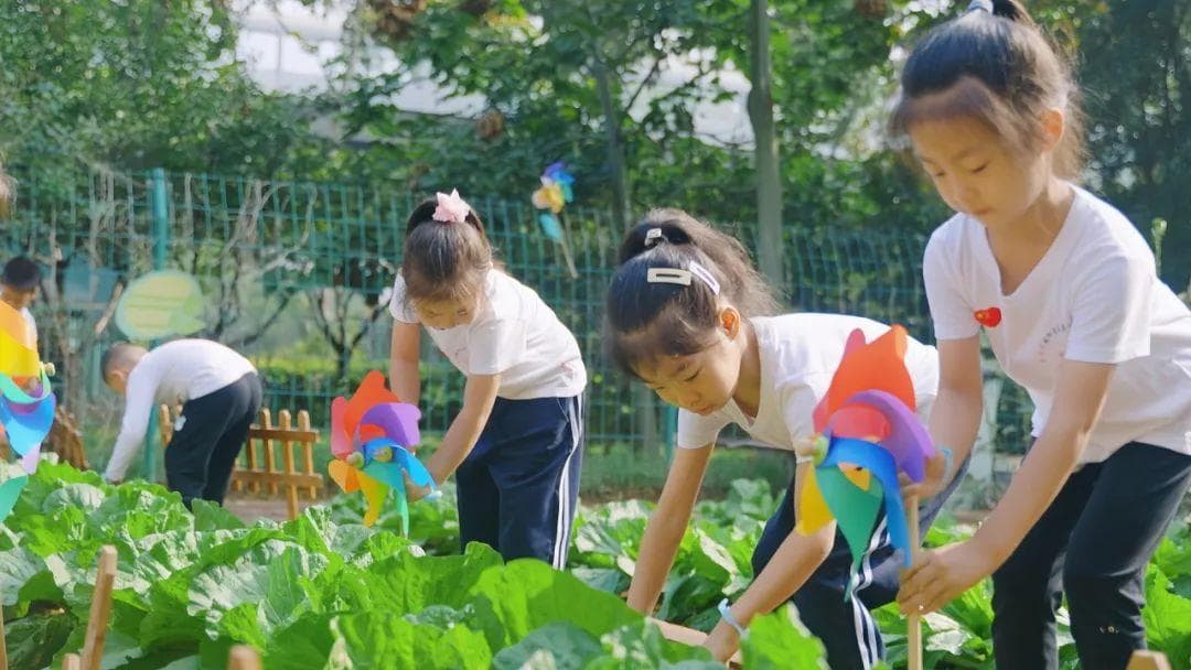 以劳育幼，助力成长：城阳区幼儿园劳动教育实践新探索