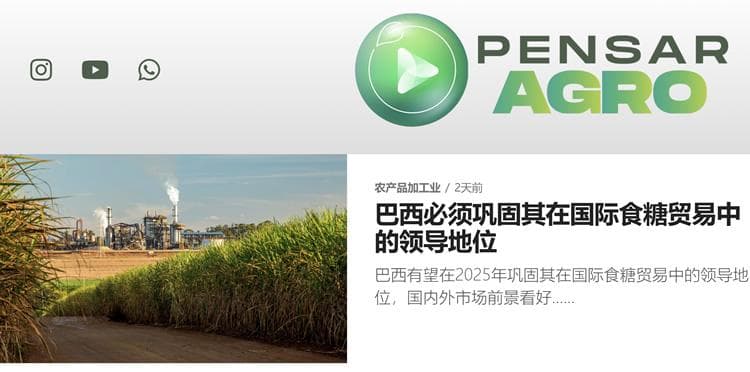 巴西2025年有望巩固食糖贸易霸主地位，多重利好支撑出口