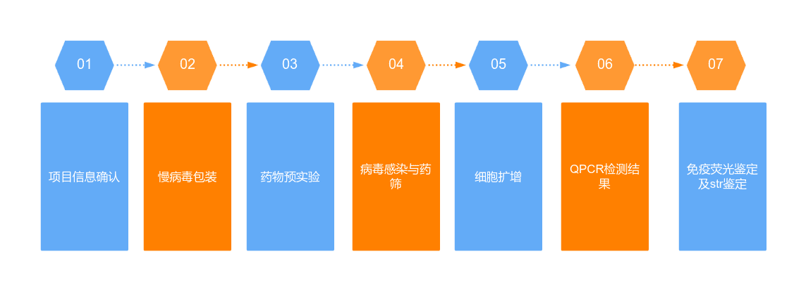 中乔新舟从原代培养到建立永生细胞系的方法总结