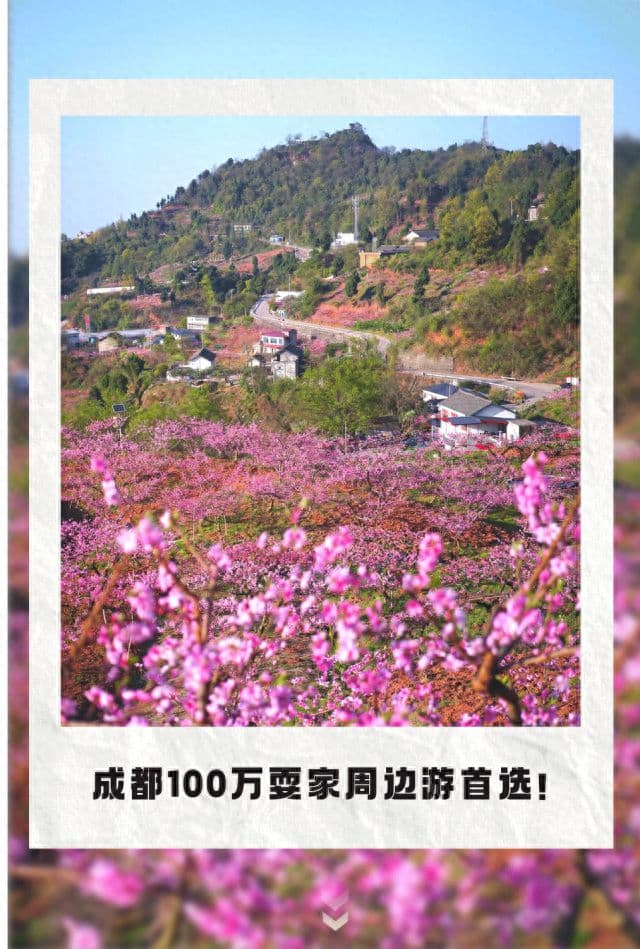 成都龙泉山9条免费赏花徒步路线，避开人潮，尽享春日美景