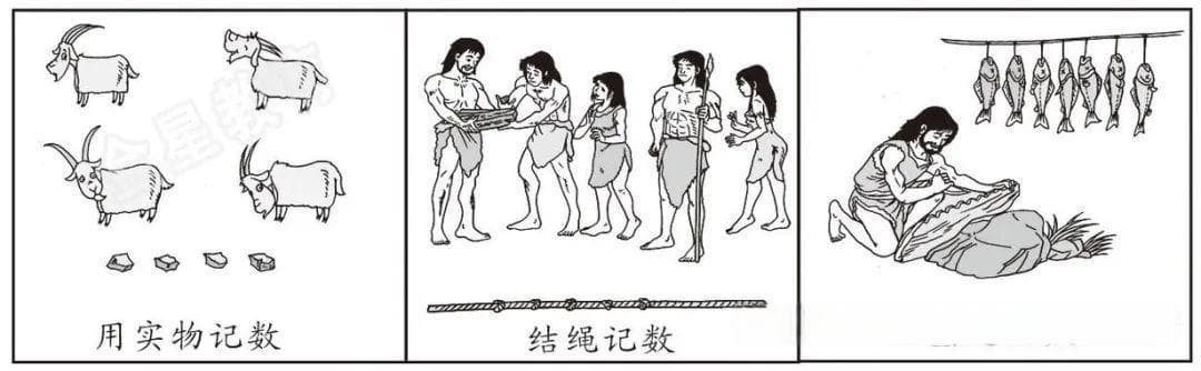 深度科普：加法运算的前世今生