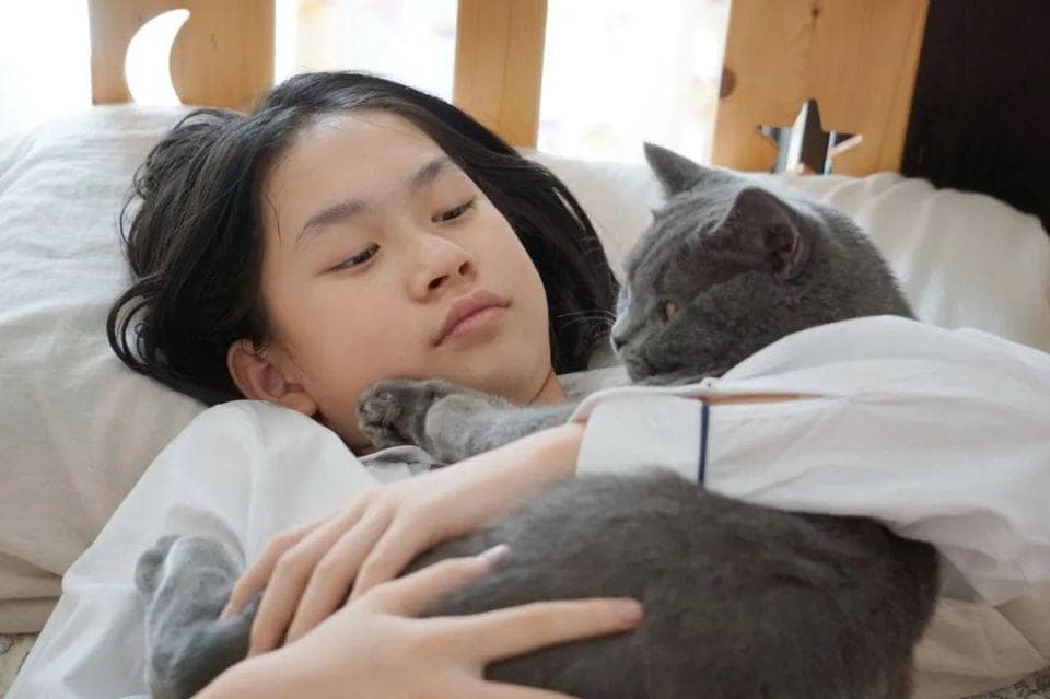 猫 meme 视频全网爆火！到底对年轻人有什么魔力？
