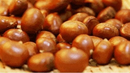 糖炒栗子，您选对了吗？