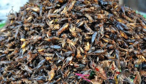 柬埔寨特色美食：从法式三明治到吴哥啤酒，14种必吃的柬式美味