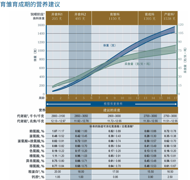 影响蛋鸡发挥高效产蛋性能的关键因素