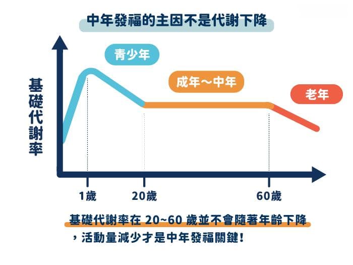 中年发福和代谢下降无关！4招教你提高热量消耗