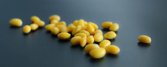 干黄豆怎么泡发最快(黄豆快速泡发)