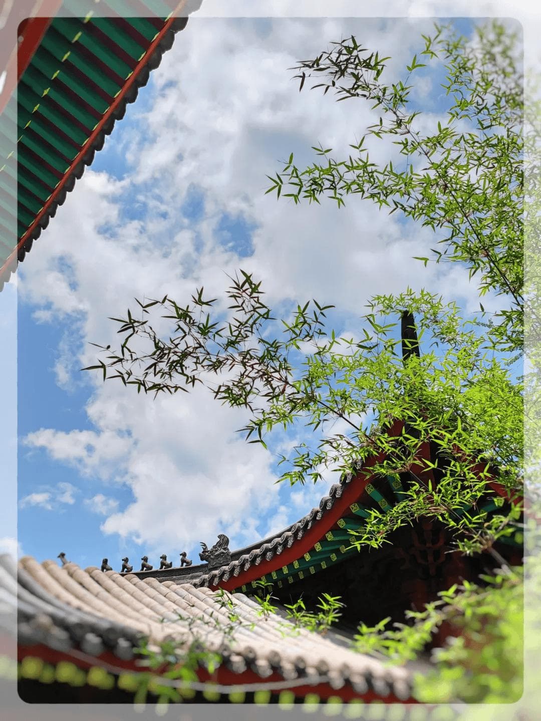 生活禅之正信 || 正信的内容 —— 什么是三宝？