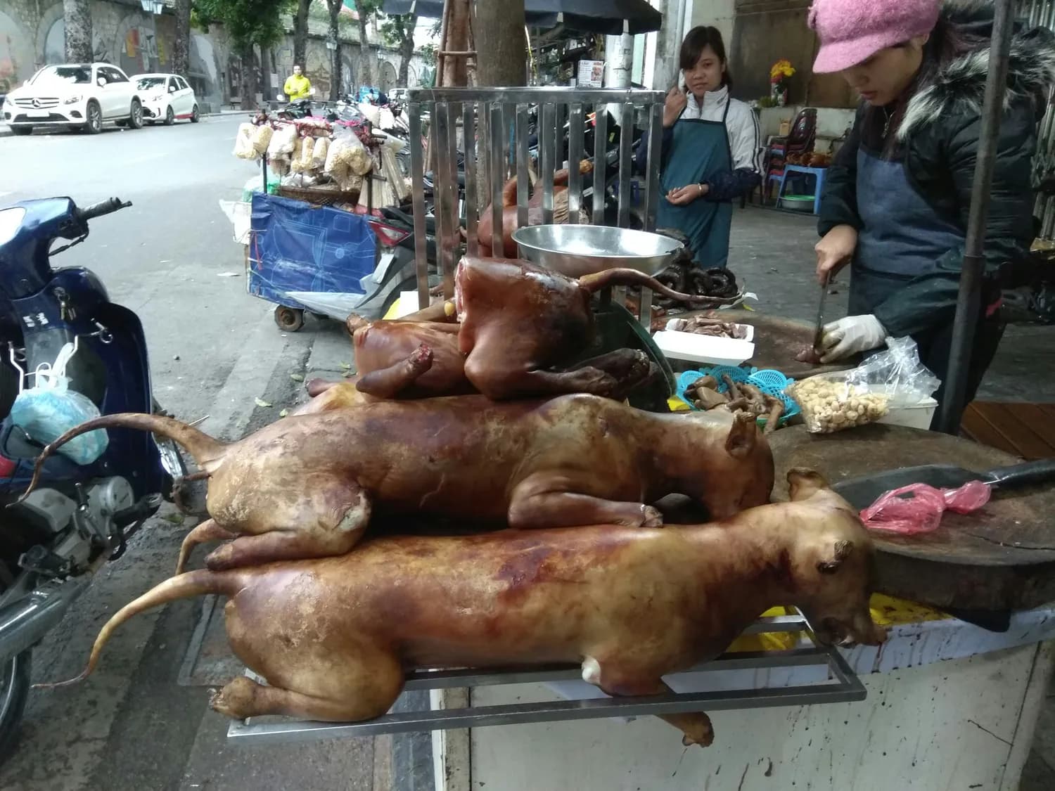 狗肉：从传统美食到争议食材