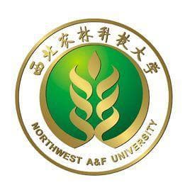 2024西北农林科技大学研究生复试内容