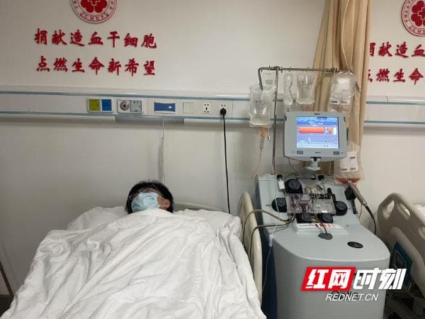 爱心接力！"90后"博士与"00后"青年成功捐献造血干细胞