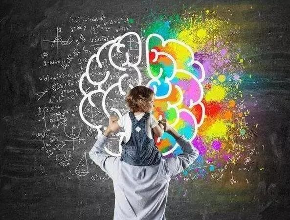 神经酸与DHA的区别：从化学结构到生理作用的全面解析