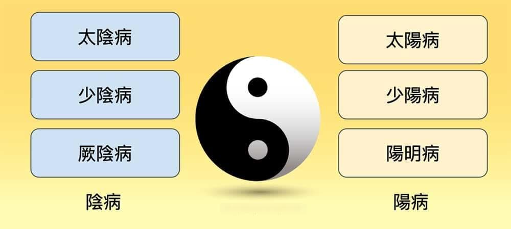 从经络体质角度，理解伤寒论六经辨证之“三阴病”