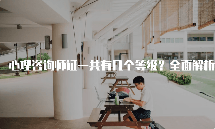 心理咨询师证一共有几个等级？全面解析心理咨询师证书体系